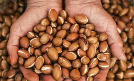 Argan Sabunu Nedir? Argan Sabununun Faydaları Nelerdir?