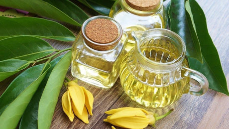 Ylang Ylang Yağının Faydaları Nelerdir Ve Nasıl Kullanılır?