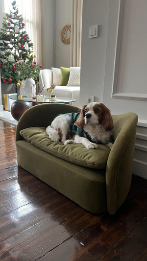 Leo Pet Armchair