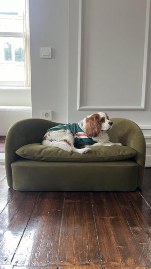 Leo Pet Armchair