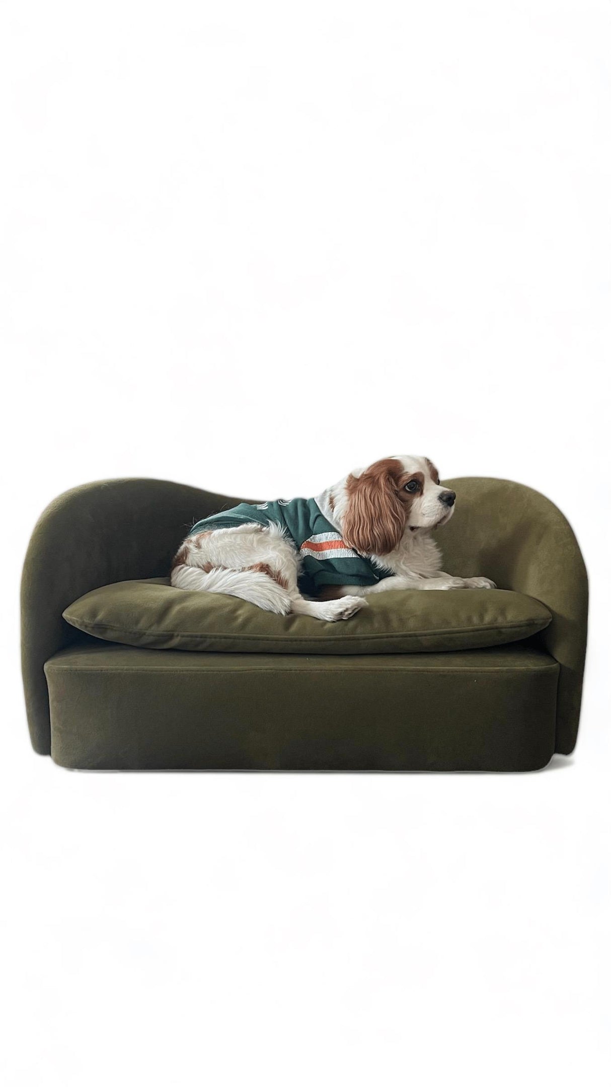 Leo Pet Armchair